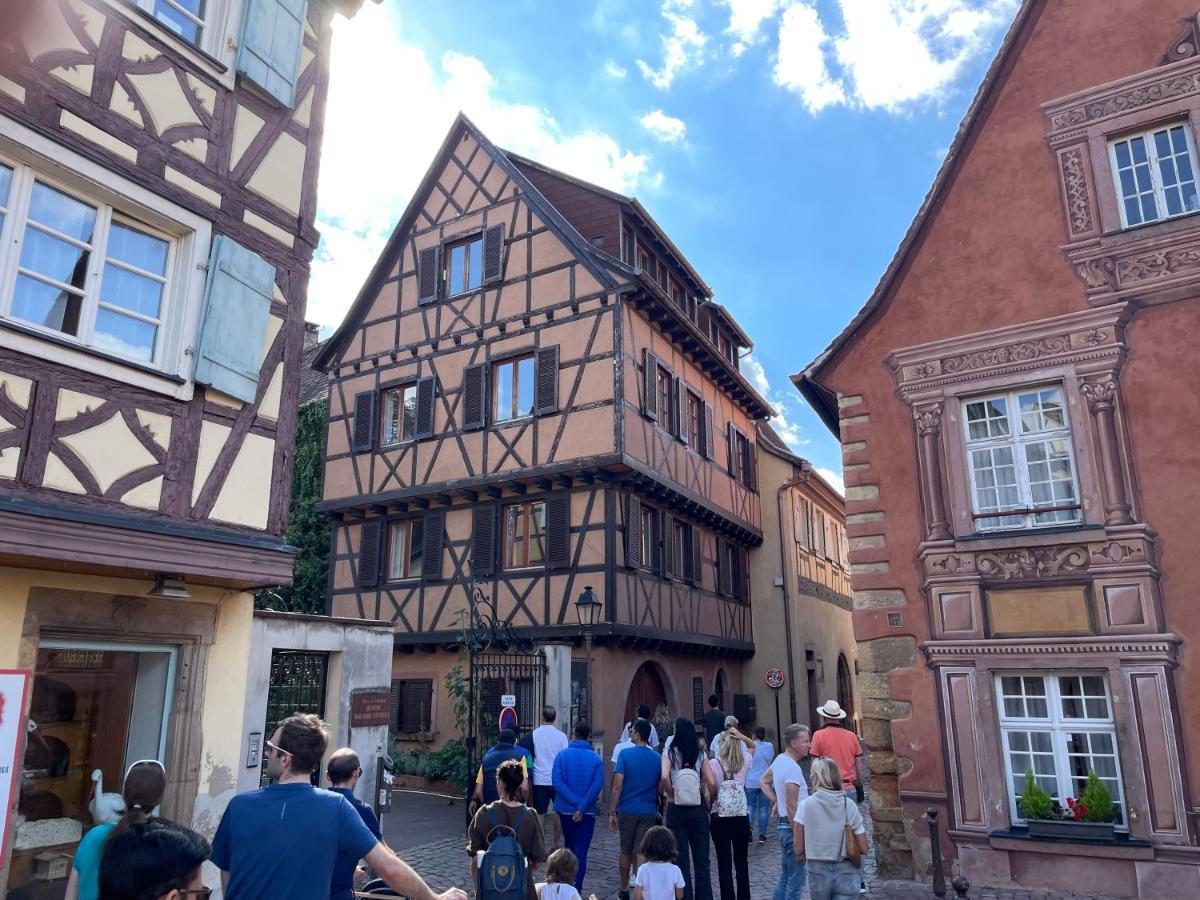 Rive Petite Venise Appartement Luxe - Centre Ville Colmar - Clim, Ascenseur & Possibilite Parking Bagian luar foto